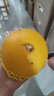 柏饞黃河蜜瓜現(xiàn)摘沙漠甜瓜當(dāng)季新鮮黃金蜜瓜香瓜甜瓜 2.5-3斤（嘗鮮裝）帶箱 曬單實(shí)拍圖