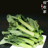 鹿凌青農(nóng)家新鮮中花芥蘭菜應(yīng)季蔬菜廣東芥蘭芥藍(lán)好吃下飯菜發(fā)順豐 【順豐】泡沫箱加冰袋（偏細(xì)） 【精選中小蘭】4斤 曬單實(shí)拍圖