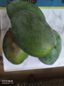 京鮮生 攀枝花凱特芒果 凈重8.5斤 帶箱9斤 單果400g+ 生鮮水果源頭直發(fā) 曬單實(shí)拍圖