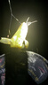 頂點夜釣燈超亮大功率藍光燈強光野釣燈紫光釣魚燈專業(yè)激光炮2025新款 D300激光炮+1.4米支架 曬單實拍圖