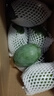 京覓四川凱特芒果新鮮水果凈重8斤單果410g+源頭直發(fā)包郵 曬單實(shí)拍圖
