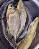鯉魚(yú)餌料專(zhuān)攻鯉魚(yú)野釣爆護餌黑坑野釣鯉魚(yú)鯽魚(yú)可搓拉春釣鯉魚(yú)窩料 五包裝【桿桿雙飛大魚(yú)連連】 曬單實(shí)拍圖
