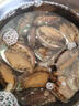 目無(wú)全牛鮮凍大鮑魚(yú) 鮑魚(yú)火鍋燒烤 貝類海鮮 生鮮 冷凍鮑魚(yú) 10-12頭/斤【1包】 曬單實(shí)拍圖