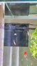 YEE魚(yú)缸過(guò)濾器壁掛式大容量三合一凈水循環(huán)泵隔離魚(yú)便 10W 適用50-80cm 【送濾材禮包】 曬單實(shí)拍圖
