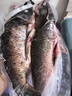 跑山密水農(nóng)家【冰鮮】水庫鯽魚2斤凈重 活魚現(xiàn)殺 燒烤 寶寶食材源頭直發(fā) 曬單實(shí)拍圖