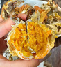 【活蟹】 陽澄姑娘大閘蟹 現(xiàn)貨鮮活特大螃蟹 海鮮水產(chǎn)生鮮禮盒裝 公4.5-4.8兩母3.5-3.8兩8只 曬單實(shí)拍圖
