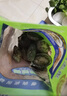 江船長 冷凍鮑魚 凈重160g(18-22粒)袋裝 火鍋燒烤食材 海鮮生鮮 曬單實拍圖