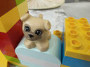 樂高（LEGO）自由拼搭組合 10914豪華繽紛桶&10460綠色拼搭底板 曬單實拍圖