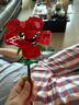 樂高（LEGO）積木 花植系列 永生花 創(chuàng)意diy拼裝玩具 男孩女孩生日禮物 40460 玫瑰 曬單實拍圖