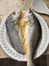 黃小漁寧德黃魚鲞400g/2條 三去大黃魚黃花魚生鮮 海鮮水產(chǎn)燒烤夜宵魚類 曬單實(shí)拍圖