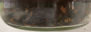 茗杰茶葉 武夷山桂花紅茶 正山小種濃香型禮盒裝500g 曬單實(shí)拍圖