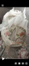 伴樹碗盤套裝家用輕奢高級感顏值陶瓷碗盤筷碗具2025新款新婚禮物餐具 6人食26件配湯碗【禮盒裝】 【健康釉下彩】【破損包賠】 曬單實(shí)拍圖