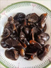 長(zhǎng)白山精選椴木黑木耳500克頭茬新貨肉厚無(wú)根特級(jí)干貨批發(fā)商用 黑木耳30g 曬單實(shí)拍圖