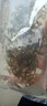 逸樂寵黑殼蝦草缸清潔蝦烏龜龍魚飼料除藻蝦觀賞蝦工具蝦草蝦活體蝦米蝦 黑殼蝦100只+100防損 發(fā)順豐 曬單實拍圖