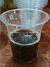 雙槍（Suncha）一次性奶茶杯子咖啡飲料冰杯帶蓋加厚茶水果汁直飲杯400ml*20套  曬單實(shí)拍圖