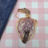 萬港北海特產(chǎn)魷魚干干貨500克燒烤專用A4/A3/A2/A1淡干手撕芥末尤魚干 A4L魷魚干 500g*1袋 一斤 曬單實拍圖