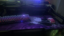 西伯利亞西伯利亞XS980光軸游戲機械鍵盤有線臺式筆記本電腦網(wǎng)吧電競專用 XS980紫色機械鍵盤（段落光軸） 光軸 否 曬單實拍圖