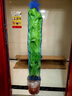 卉優(yōu)大葉綠蘿柱室內大盆栽植物客廳大型綠植辦公室除甲醛凈化空氣易活 特級大葉綠蘿柱1.4-1.6米【基地原盆】 曬單實(shí)拍圖