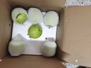 京鮮生 河北青翠蜜梨 凈重4.5斤 單果250g+ 青皇冠梨 生鮮水果 源頭直發(fā) 曬單實拍圖