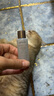 馥蕾詩(shī) fresh紅茶酵母酵萃精華水20ml*3  緊致修護(hù)保濕補(bǔ)水爽膚水護(hù)膚品 曬單實(shí)拍圖