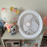 RICH YOUR HOME德國品質(zhì)吊扇床上靜音大風(fēng)力迷你電風(fēng)扇宿舍帶燈按鍵充電款學(xué)生新款 [白·15000毫安]充插兩用 標準 曬單實拍圖