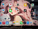 Procreate繪畫軟件安裝筆刷繪畫教程iPad下載字體2025人像厚涂 僅蘋果使用 軟件下載+筆刷教程 曬單實拍圖