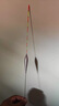 川澤大物鰱鳙魚(yú)漂加粗醒目草鳊翹行程浮漂大物漂遠(yuǎn)投抗風(fēng)浪走水浮標(biāo) CD-3【翹嘴鰱鳙】吃鉛5.0-7.0g 1號(hào) 曬單實(shí)拍圖