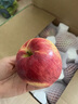A佳云南昭通紅露櫻桃蘋果5斤脆甜新鮮櫻桃小蘋果丑平果冰糖心紅富士G 2斤【現(xiàn)摘現(xiàn)發(fā)】 精選小果 曬單實(shí)拍圖