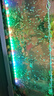 勝畫納米氣泡魚缸led增氧防水燈七彩變色增艷專用觀賞氣泡潛水照明燈 46cm 七彩漸變色款+氣泵套餐 曬單實(shí)拍圖