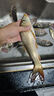 老鬼（OLDGHOST）魚(yú)餌庫戰土鯪腥香大福壽2代一包搞定湖庫大體型鯪魚(yú)羅非釣魚(yú)餌料 【1包裝】大福壽2代 曬單實(shí)拍圖