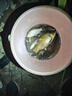 化氏（HUA）化氏大紅鯽餌料新品魚餌大味型高穿透強(qiáng)誘魚久釣餌 大紅鯽【3包裝】-增 曬單實(shí)拍圖