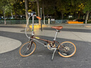 大行（DAHON）D10折疊自行車20英寸10速成人復古風單車HAC003 消光咖色  曬單實拍圖