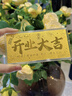 周金生黃金開(kāi)業(yè)大吉金鈔純金片生意興隆足金999金條招財送朋友禮物 開(kāi)業(yè)大吉·顯大版【紅包裝】 1g 曬單實(shí)拍圖