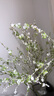梵逸雪柳仿真花擺件假花裝飾花束塑料花卉客廳高端餐桌花擺花高檔干花 雪柳-5支 曬單實(shí)拍圖