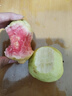 廣西軟心白心奶油芭樂 老果樹 軟糯香甜番石榴果園現(xiàn)摘 送酸梅粉 【軟糯雙拼】3斤 曬單實(shí)拍圖