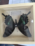 藝馨維尼海洋生物標本擺臺真蝴蝶標本昆蟲(chóng)標本生日禮物立體框架展示框畫(huà)框 【實(shí)木盒裝】夏型綠帶翠鳳蝶 相框尺寸：12*5*12cm 曬單實(shí)拍圖
