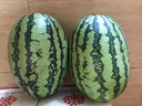 超能 內(nèi)衣洗衣液 480g 長效抑菌18小時 內(nèi)衣內(nèi)褲洗 男女通用 曬單實拍圖