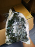 鮮海帶 鹽漬海帶結(jié) 海帶扣片火鍋食材涼拌海洋蔬菜 鹽漬海帶結(jié)5斤 曬單實(shí)拍圖