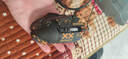 羅技（G）G502 HERO主宰者有線游戲鼠標(biāo) 宏編程RGB燈光 電競機械配重競技FPS吃雞cf送男友男生禮物 G502H+黑金防滑貼+游戲鼠標(biāo)墊+腳貼 曬單實拍圖