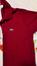 LACOSTE法國鱷魚(yú)男裝紅色時(shí)尚L.12.12經(jīng)典款簡(jiǎn)約翻領(lǐng)短袖Polo衫|L1212 476/波爾多酒紅 M 4 曬單實(shí)拍圖