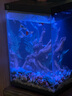 畫法幾何魚缸造景 小型魚缸米家智能魚缸專用蕨類沉木造景套餐 曬單實(shí)拍圖