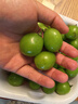 【產(chǎn)地直采】陽光玫瑰青提 1.5kg 單果8g起 曬單實拍圖