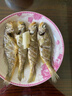 森農(nóng)樂小黃魚生鮮黃花魚舟山野生鮮活冷凍海魚正宗深海冰鮮燒烤商用新鮮 7-8條/斤【凈重3斤 味美鮮嫩】 曬單實拍圖