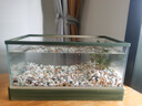 寵小帥南美風(fēng)溪流魚缸客廳原生態(tài)魚缸家用全套造景超清玻璃桌面生態(tài)魚缸 小號43*26*21cm【裸缸+配件】 曬單實(shí)拍圖