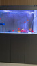 森森（SUNSUN）新款智能簡奢魚缸客廳超白玻璃大型底過濾免換水生態(tài)水族箱 超白新式底濾+無極變光 1.2米42寬 紳士灰 曬單實拍圖