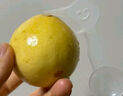 京鮮生 欽蜜9號黃金百香果 5斤單果90g+ /20-30個 生鮮水果 源頭直發(fā) 曬單實拍圖