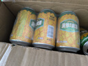 燕京啤酒整箱裝黃啤白啤果啤無醇啤酒精釀啤酒原漿啤酒純生啤酒多種可選 燕京菠蘿啤9度果味啤酒 330mL 24罐 曬單實拍圖