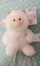 名創(chuàng)優(yōu)品（MINISO）吉福特插兜好朋友系列6號公仔擺件毛絨玩具玩偶生日禮物女 羊 曬單實(shí)拍圖