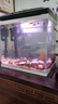 長(cháng)銳魚(yú)缸一體缸自循環(huán)免換水家用客廳桌面小型金魚(yú)缸超白玻璃養魚(yú)缸 超白CRV280標準款 曬單實(shí)拍圖