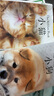 治愈系科普圖鑒：小貓+小狗 全2冊高清鑒賞圖片養貓指南寵物書(shū)籍 狗狗訓練教程關(guān)于狗狗的書(shū)名犬世界名狗圖鑒 寵物圖鑒貓咪狗的圖鑒 養貓指南貓科動(dòng)物 萌寵小奶貓 曬單實(shí)拍圖